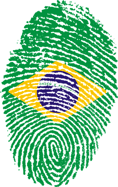 brasil-digital